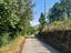Immagine 22