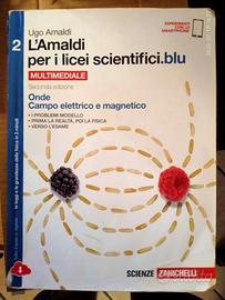Libro usato per liceo scientifico "L'Amaldi" 2
