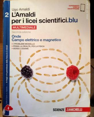 Libro usato per liceo scientifico "L'Amaldi" 2