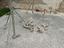 Immagine 3