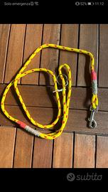 Guinzaglio cane giallo 