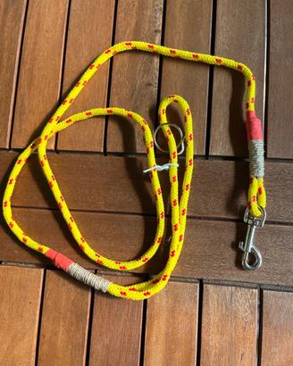 Guinzaglio cane giallo 