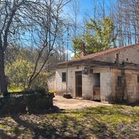 Proprietà con casolare e ampio terreno