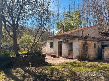 Proprietà con casolare e ampio terreno