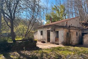 Proprietà con casolare e ampio terreno