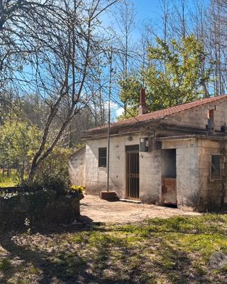Proprietà con casolare e ampio terreno