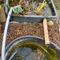 Filtro per laghetto pesci