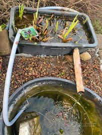 Filtro per laghetto pesci