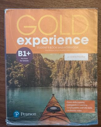 “Gold experience B1+” -  F. Beddall