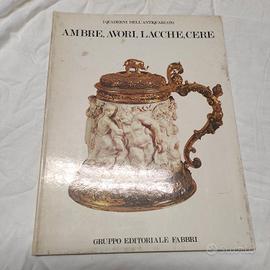 Ambre, avori, lacche, cere 