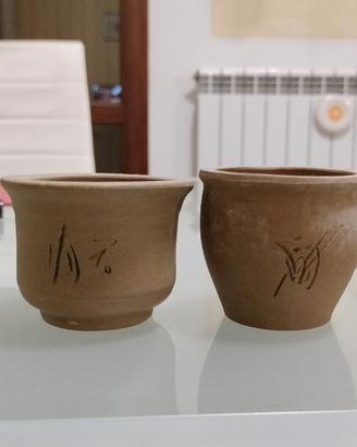 Bonsai