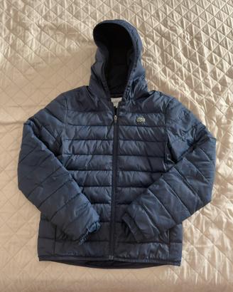 Bomber/Giubbotto Lacoste