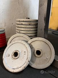 Coppia di manubri con pesi