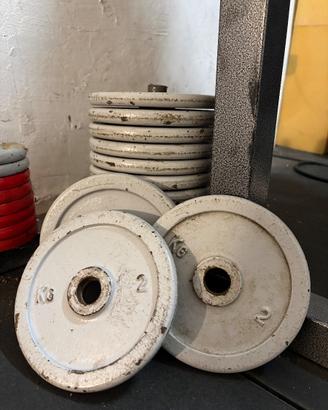 Coppia di manubri con pesi