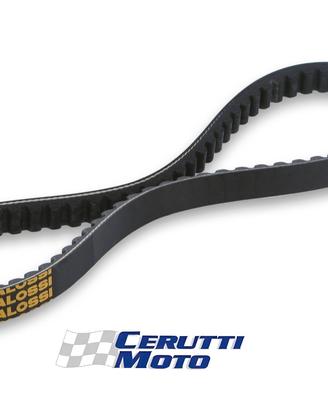 Cinghia Malossi x k belt Honda Dio Zx Gp