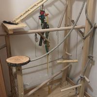 Palestra per pappagalli