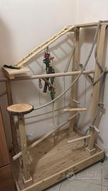 Palestra per pappagalli