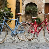 2 bici da passeggio nuove