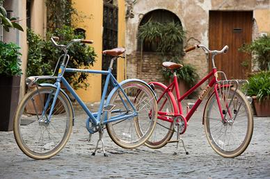 2 bici da passeggio nuove