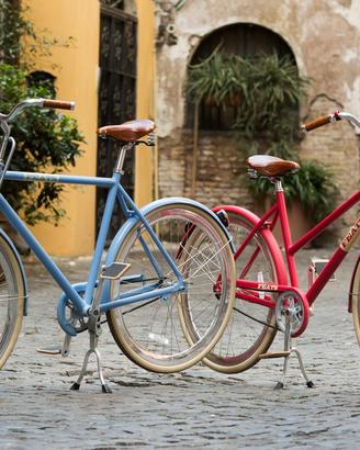 2 bici da passeggio nuove