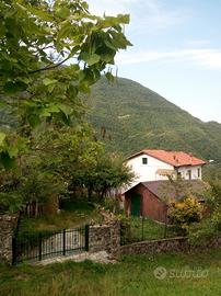 Casa bifamiliare nel verde
