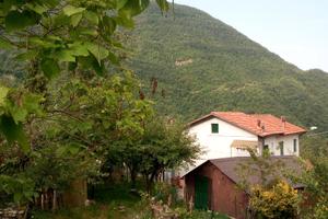 Casa bifamiliare nel verde
