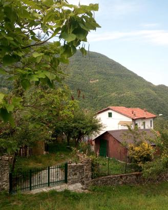 Casa bifamiliare nel verde