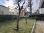 Immagine 19