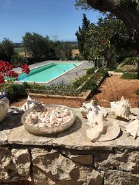 Villa vista mare con piscina giardino ugento ( le)