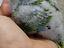 Immagine 3