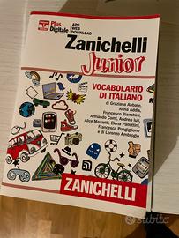 Vocabolario Zanichelli Junior