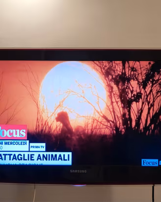 TV LED Samsung 32"  Full Hd + staffa a muro 