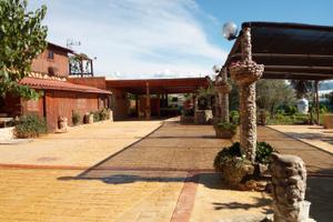 Gargano- bilocali a 100 mt dal mare