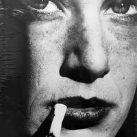 Libro Helmut Newton, Legacy Cop. rigida NUOVO