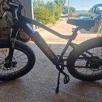 bicicletta  elettrica