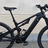 Whistle b-rush full carbon