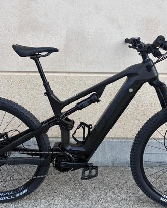 Whistle b-rush full carbon