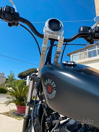Harley-Davidson Iron 883 (2018) - Prep. Vallese Ga