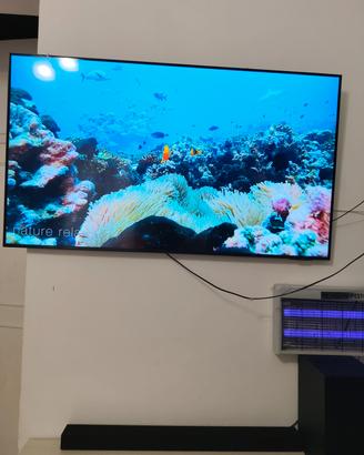 Televisione Samsung 55 pollici in 4K più Soundb