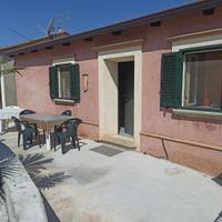 Tropea in campagna 2 - ibiscus