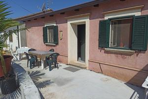 Tropea in campagna 2 - ibiscus