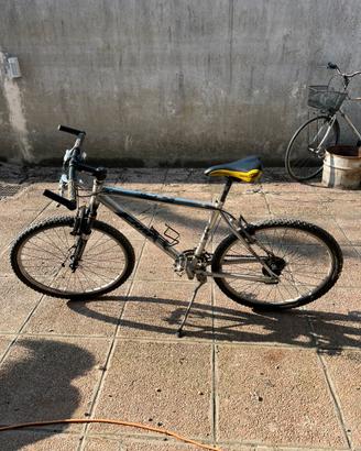 Mountain bike frm