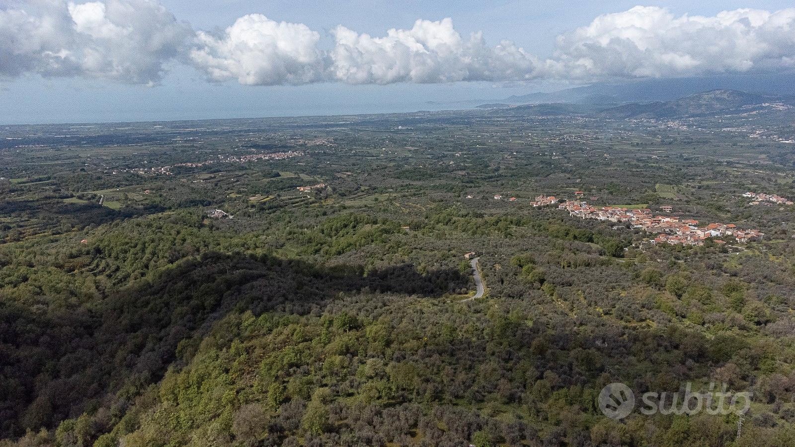 Terreno agricolo a Roccamorfina (CE) - Vista 3