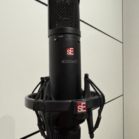 SE Electronics sE2200a II C