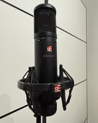 SE Electronics sE2200a II C