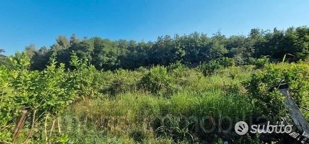 2 lotti di terreno a marina di cottone fiumefreddo - Vista 2