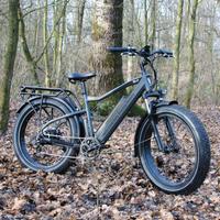 Bici eletrica niaf colosseo