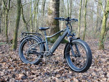 Bici eletrica niaf colosseo