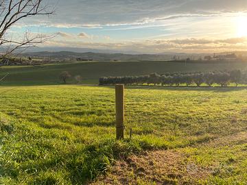 Terreno a Pesaro