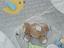 Immagine 3